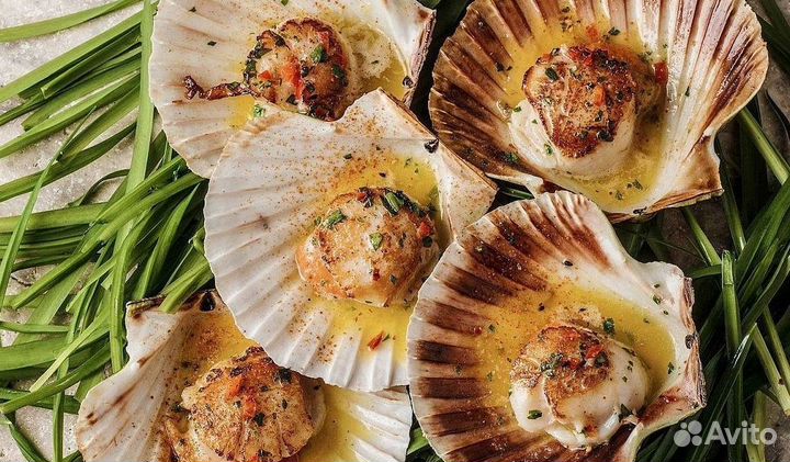 Гребешок морской на створке