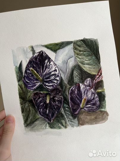 Картина ботаническая иллюстрация акварель