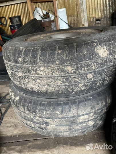 Amtel NordMaster 175/70 R13