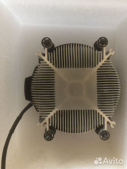 Кулер для процессора amd