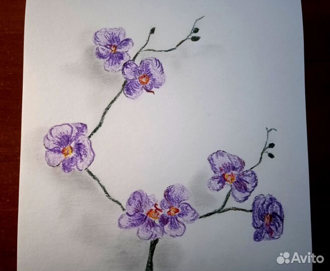 Картина орхидеи