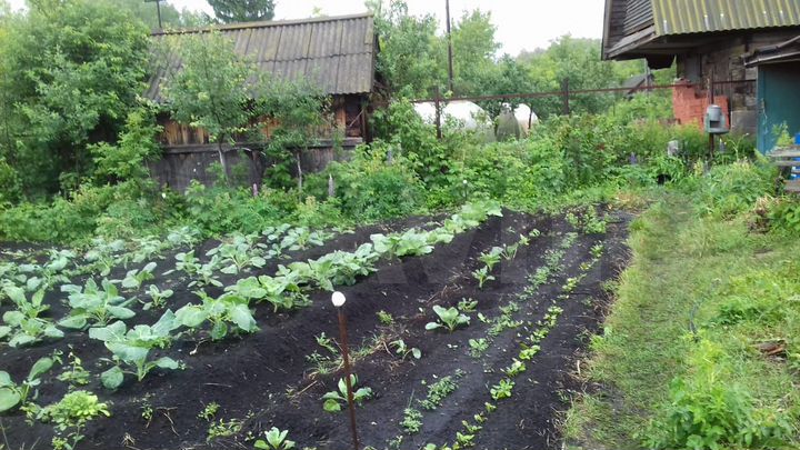 Дача 30 м² на участке 4 сот.