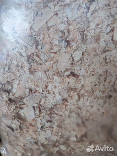 Стружка опилки