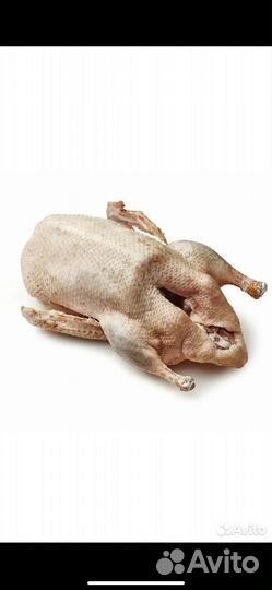 Мясо гусинное домашнее