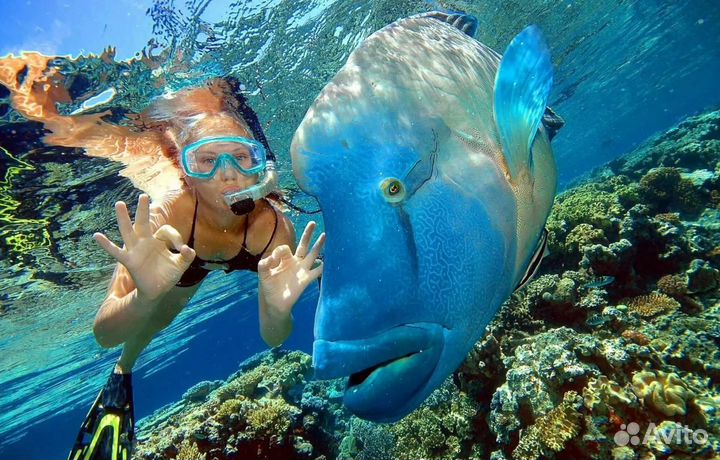 Тур путевка в Шарм-эш-Шейх на 7 нч. 5*, всё вкл