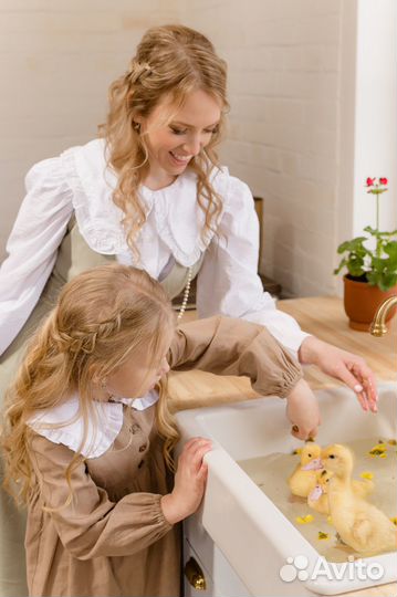 Фотосессия в студии / Услуги фотографа