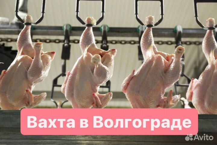 Разнорабочий птицефабрику г.Волгоградская область