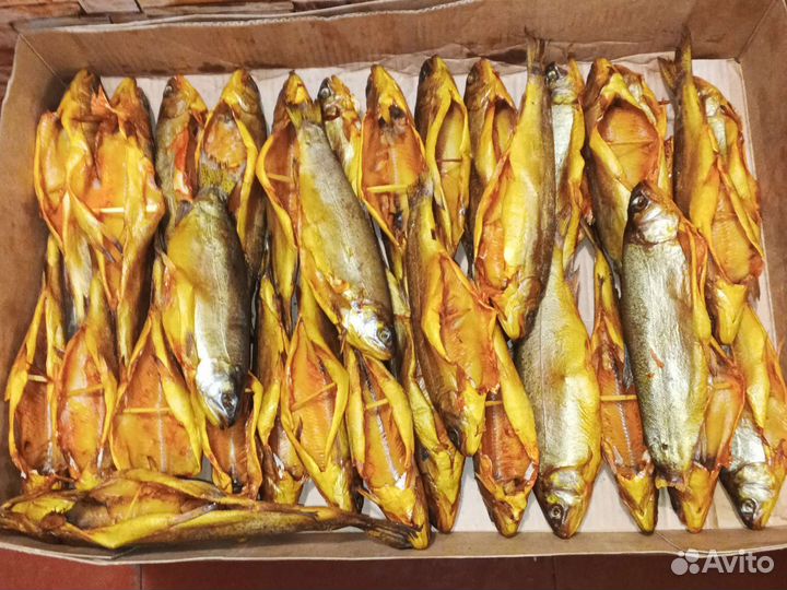 Форель холодного копчения