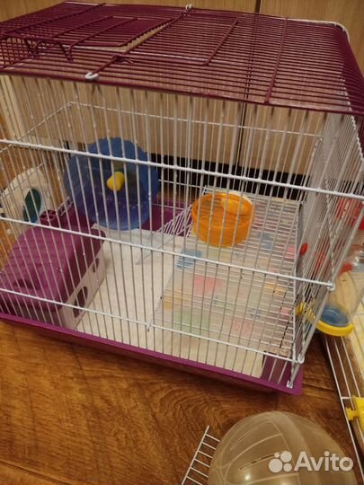 Клетка для хомяка с приданым