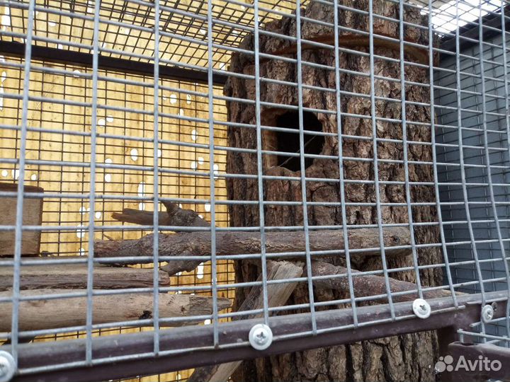 Клетка для белки