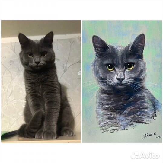 Портрет питомца пастелью картина на заказ