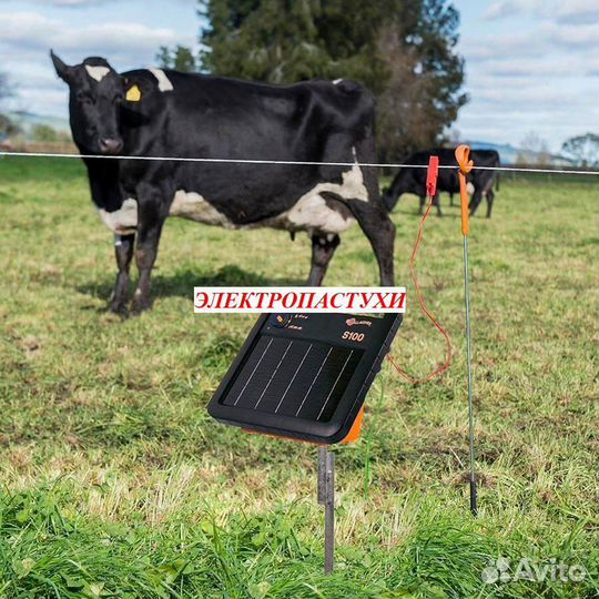 Электропастух