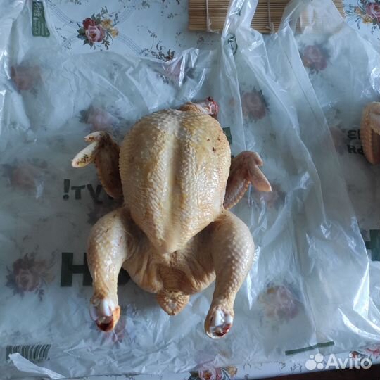 Мясо бройлера