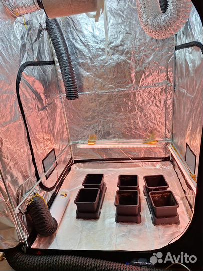 Готовый гроубокс secret jardin 150/150/220