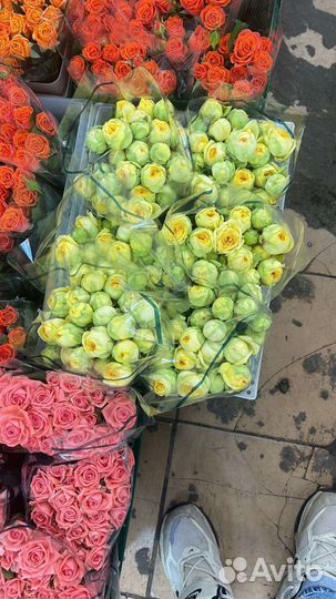 Роза букет корзина коробка Доставка