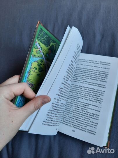 Коты-воители солнечный путь