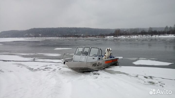 Wellboat 52 Jet
