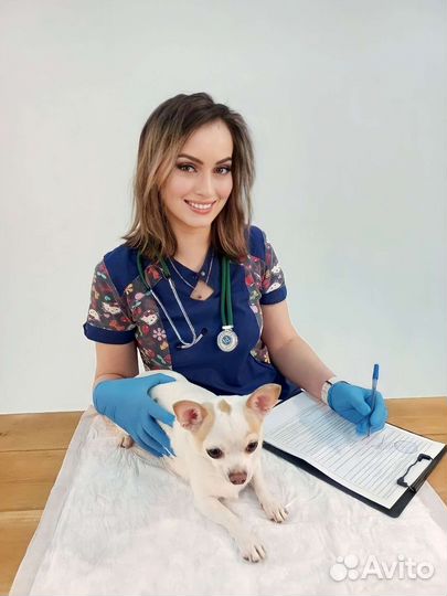 Ветеринарный врач на дом. Ветеринар