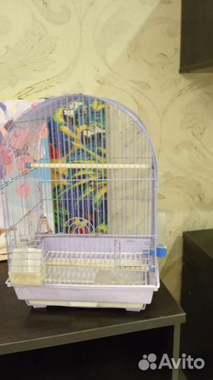 Клетка для попугая очень просторная +корм пачка