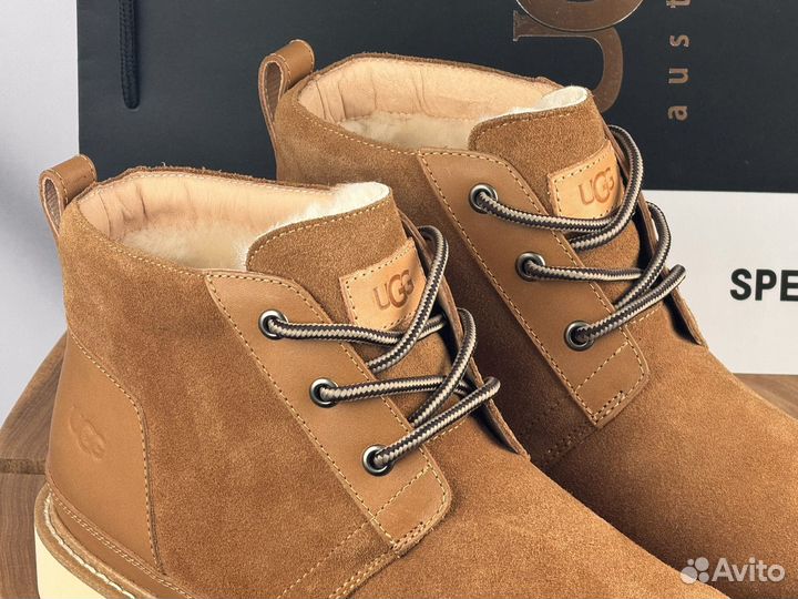 Ботинки Мужские Ugg Neumel Gentleman Chestnut