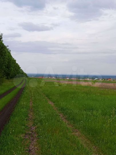 Участок 10 сот. (ИЖС)