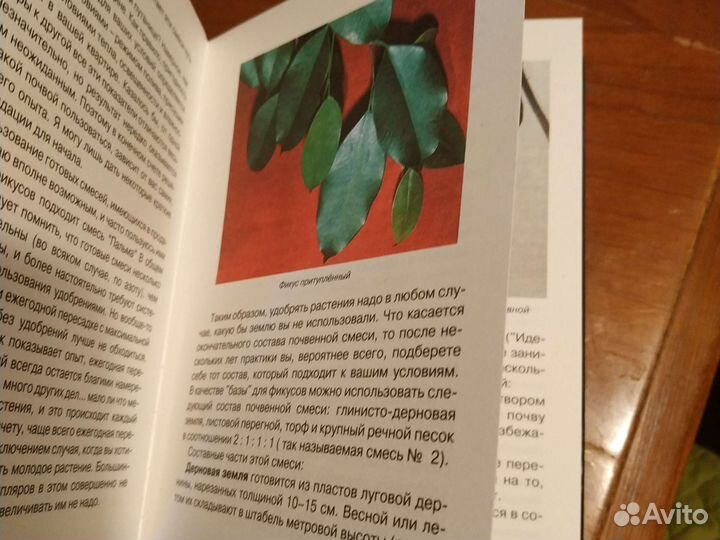 Книга Фикусы ае Курлович