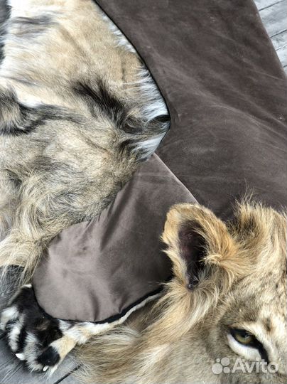 Чучело/шкура