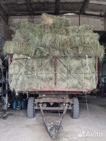 Сено солома в тюках