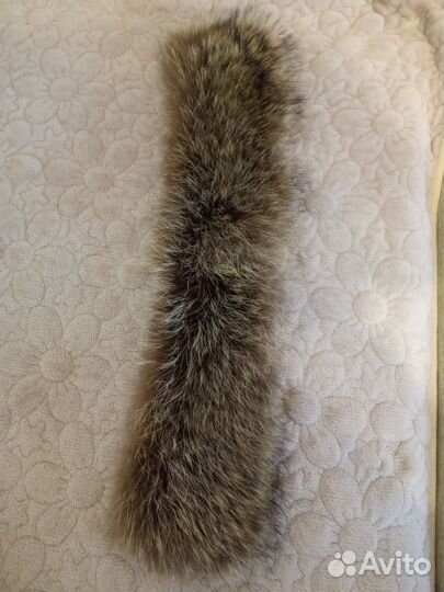 Воротник енот, норка