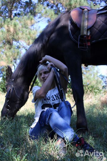 Прокат лошадей/Конные прогулки/Фотосессии