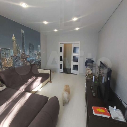 2-к. квартира, 50 м², 5/5 эт.