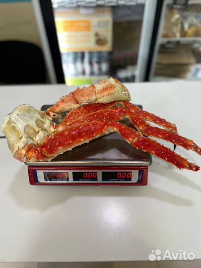 Краб Камчатский крупный