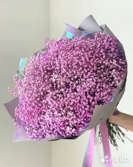 Гипсофила Белая Цветная Букет / Композиция