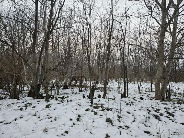 Участок 4 сот. (ИЖС)