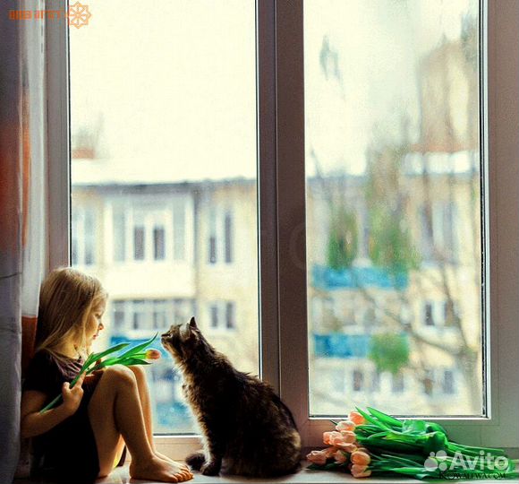 Алюминиевые окна