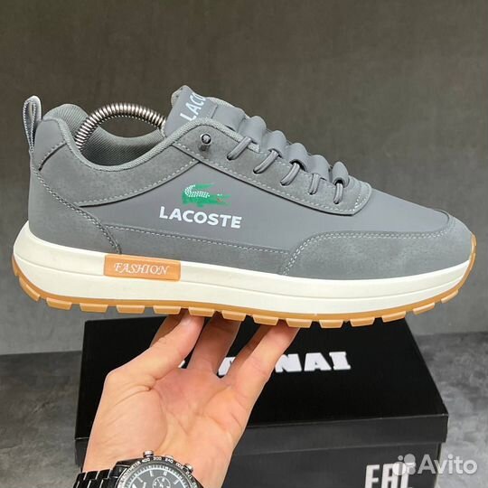 Кроссовки мужские lacoste серые