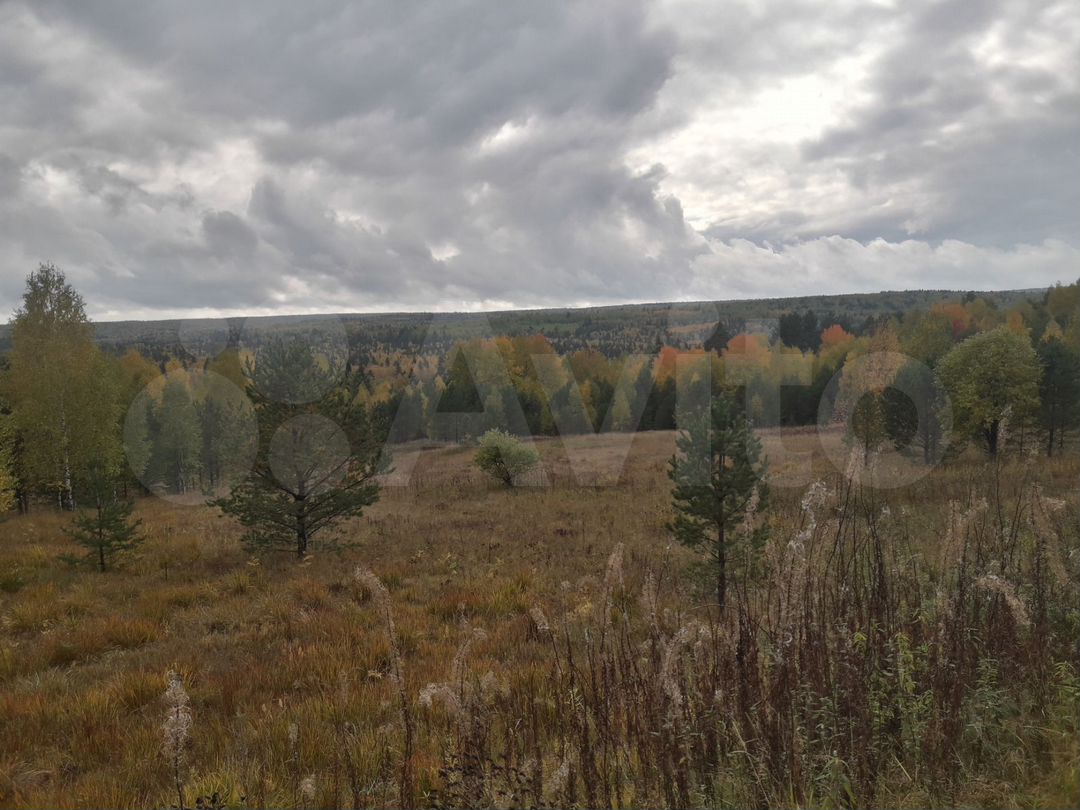 Купить землю в Нижних Сергах