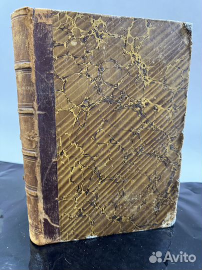 Хищники. изобилие гравюр. роскошные летучие мыши