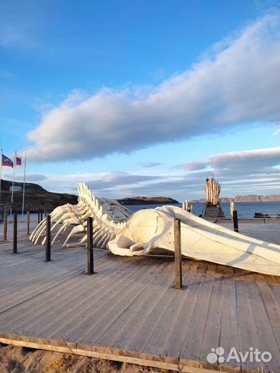 Тур в Териберку