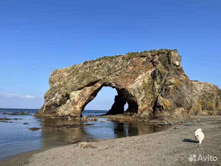 Экскурсии, авто-туры Сахалин