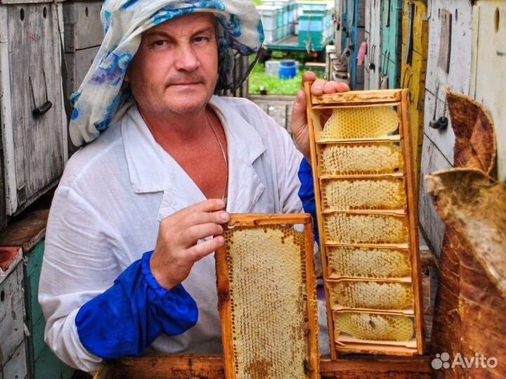 Майский мёд сбор 2023