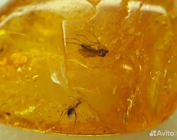 Янтарь природный с инклюзами