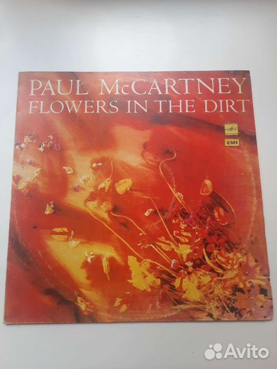 Старые пластинки: Rolling Stones, Paul McCartney