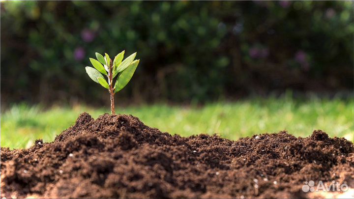 Грунт плодородная земля в мешках Грунт с доставкой