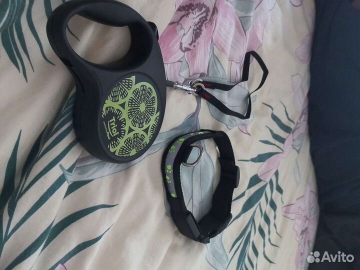 Ошейник и поводок новый