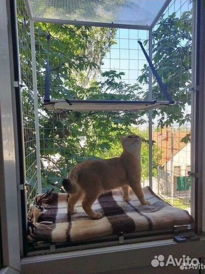 Балкончик для кошек