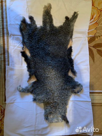 Шкура каракулья