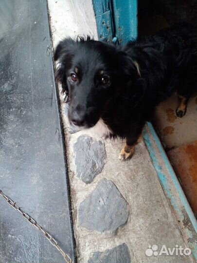 Красотка ищет семью