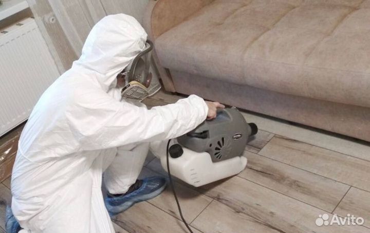 Дезинфекция уничтожение клопа таракана дезинсекция
