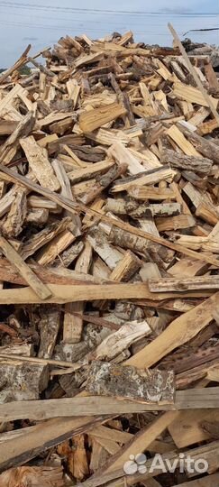 Дрова колотые береза